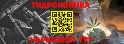 молекула духа Пенза
