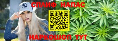 молекула духа Пенза